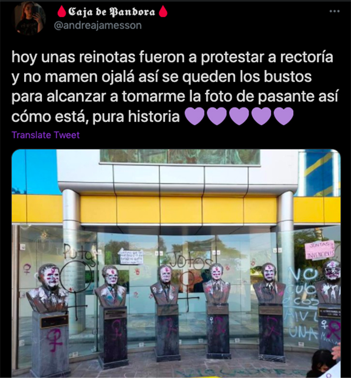 insultos homofobicos feminista twitter