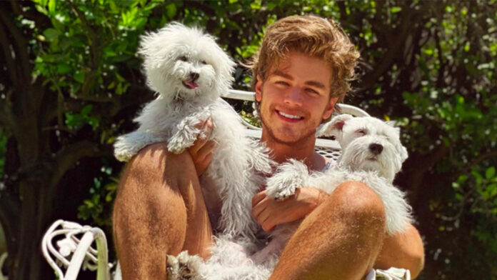 polo_morin_perro_novio_bernardo_abascal_celos polo morin perro bernardo abascal