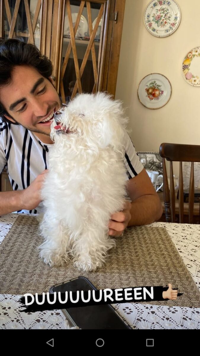 polo morin bernardo abascal perro mateo