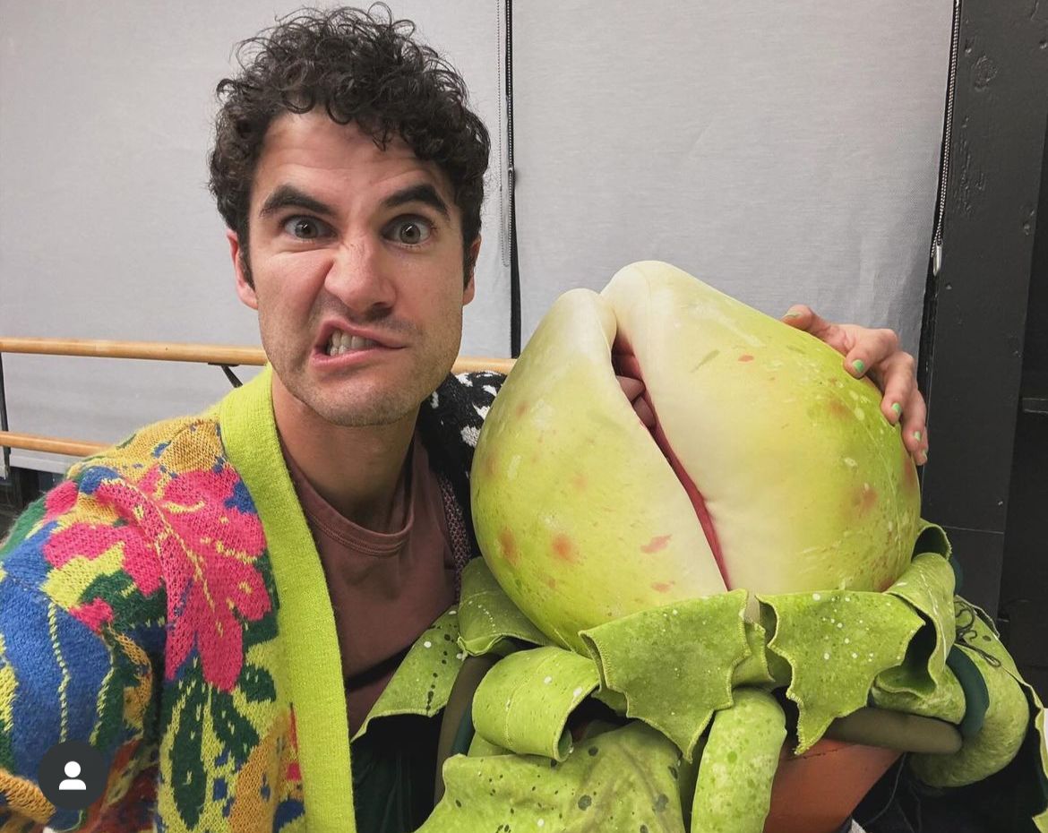 Darren Criss foto little shop of horrors