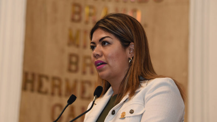 America-Rangel-diputada-muxes