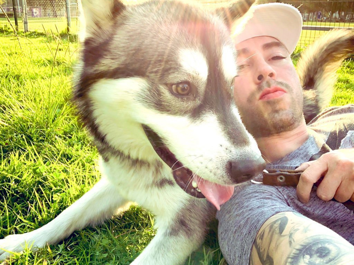 rescate animal perritos