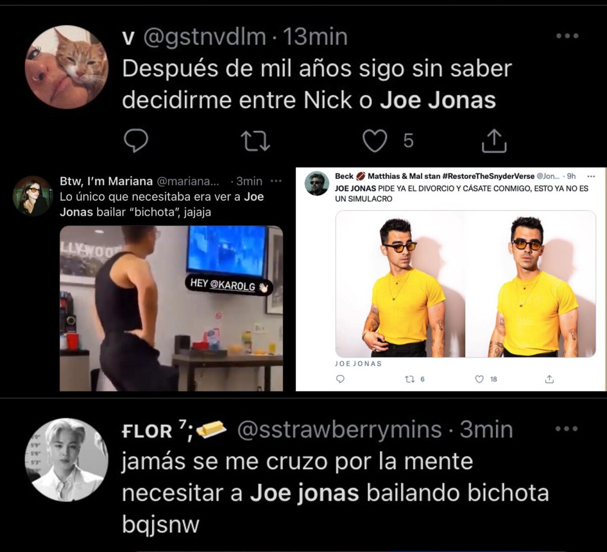Joe Jonas Bichota