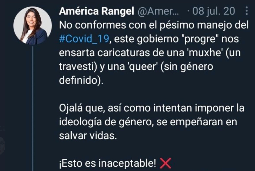 diputada_comunidad_muxe_travestis