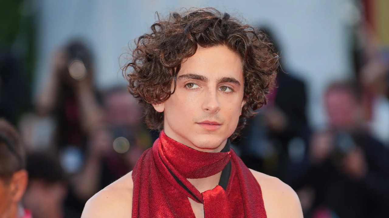 El actor Timothée Chalamet es gay en la vida real? - Homosensual