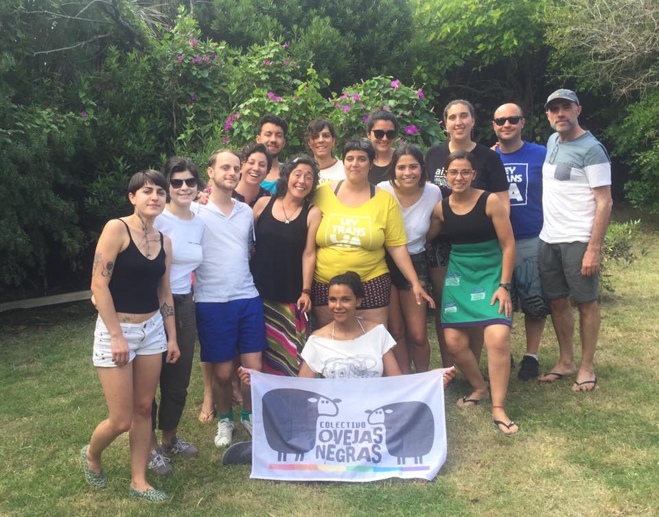 colectivo ovejas negras uruguay