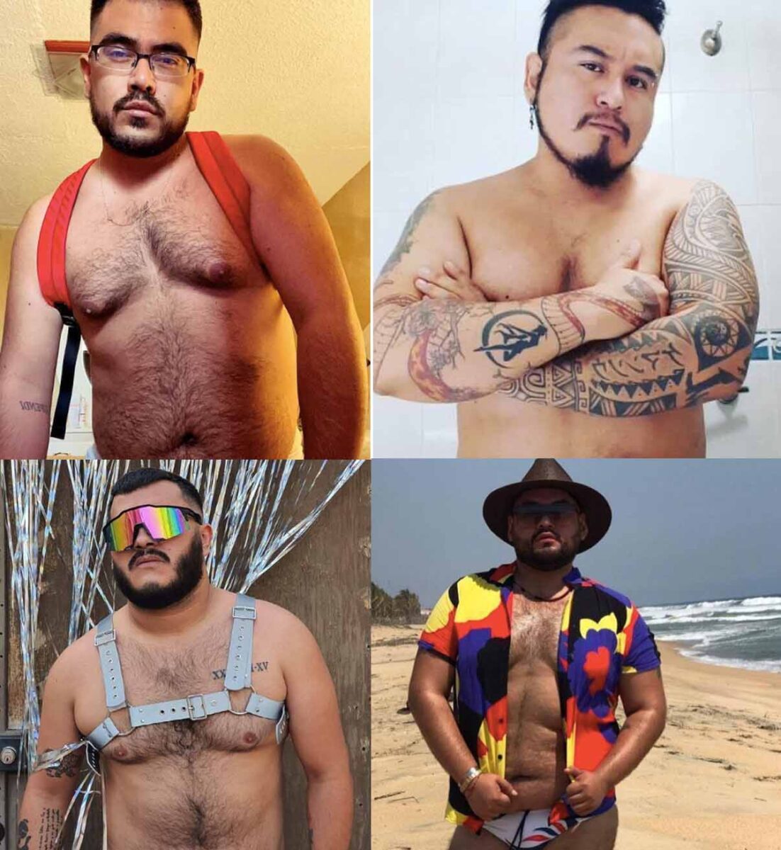 bears