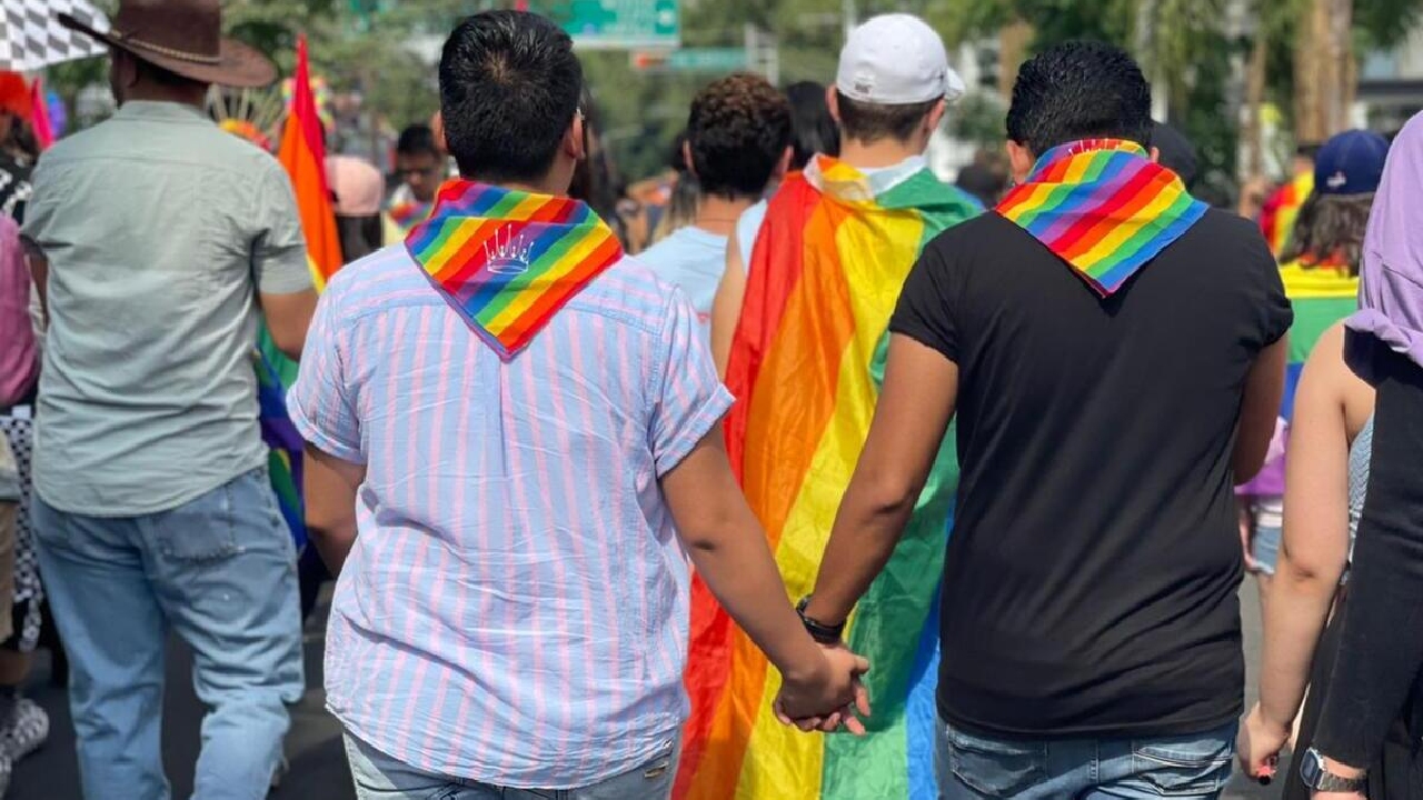 homosexualidad enfermedad mental OMS 1990