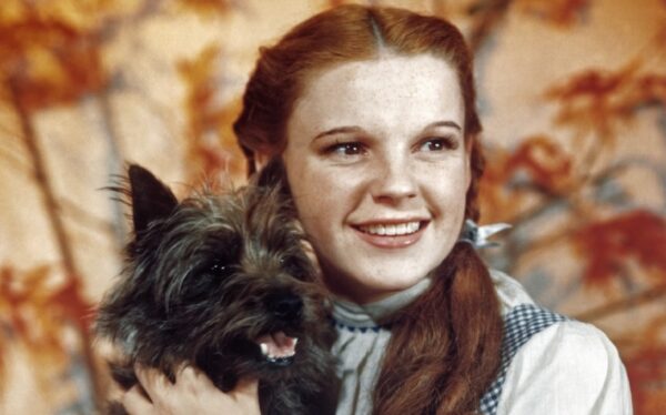 Dorothy Gale