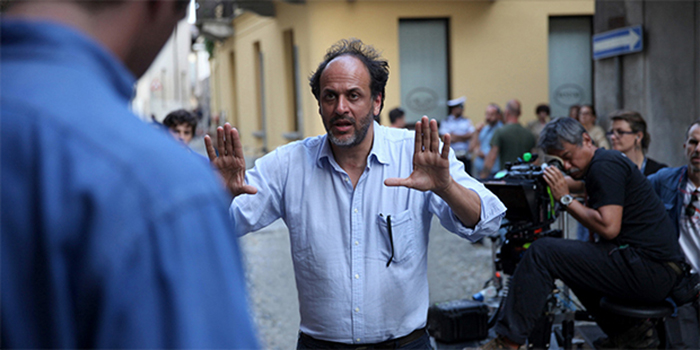 luca guadagnino director