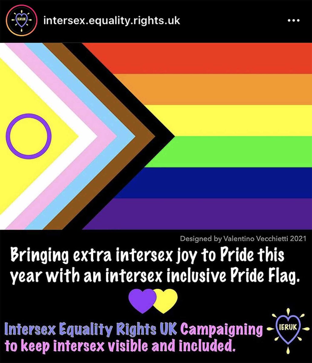 nueva bandera LGBT+ intersexual