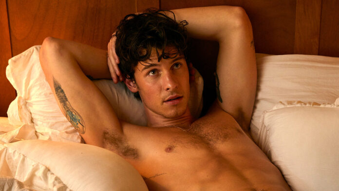 Shawn Mendes desnudo Wonderland