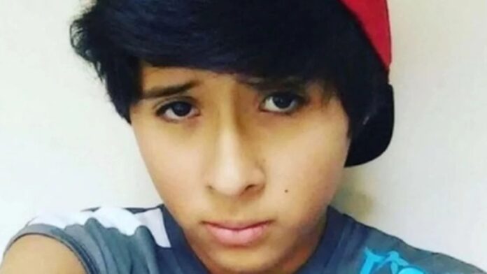 Santiago Cancinos, chico trans