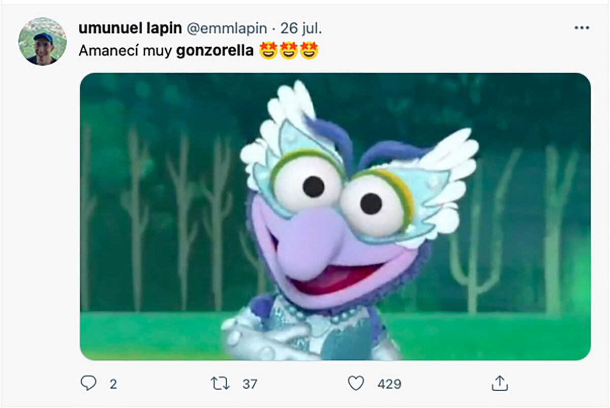 Twitter Gonzo género fluido