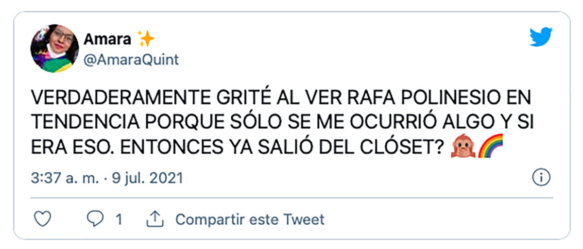 Rafa Polinesio gay