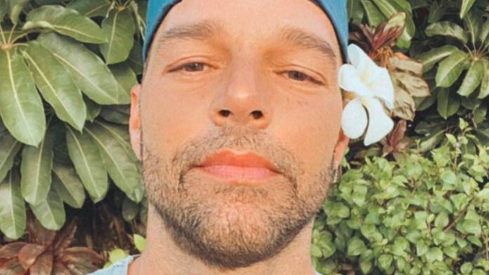 rocky martin instagram homofobia