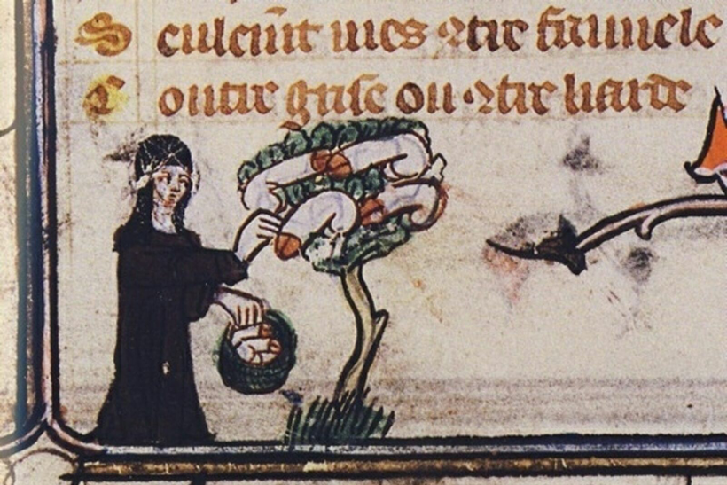roman de la rose arbol pene monja obras arte
