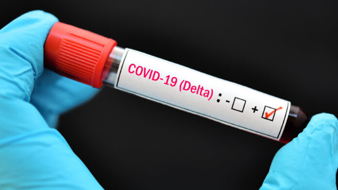 variante delta covid 19 méxico