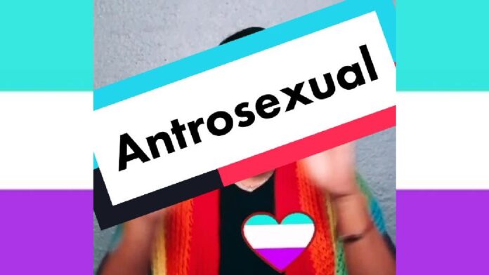 Antrosexualidad orientación sexual