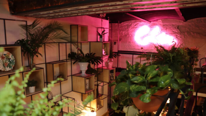 Edén nuevo El Marra 2.0 CDMX