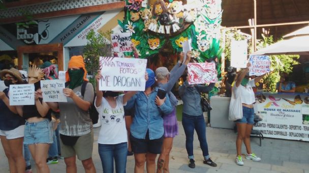 Empleado de Animalandia Maya insulta y acosa a lesbiana