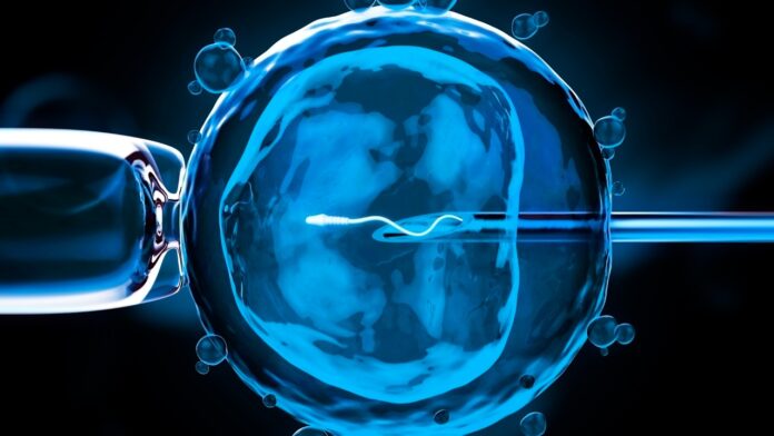 fecundación in vitro cuesta