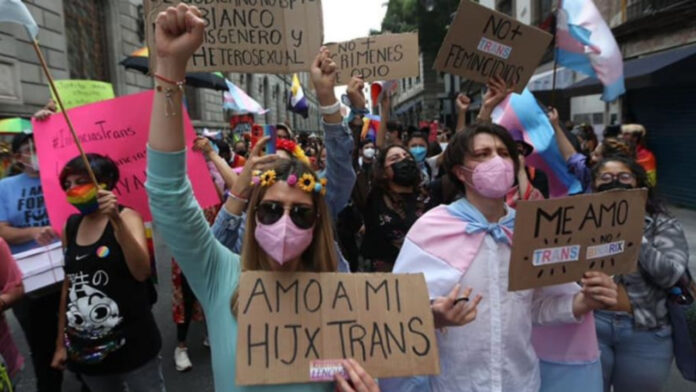 cronología lucha infancias trans