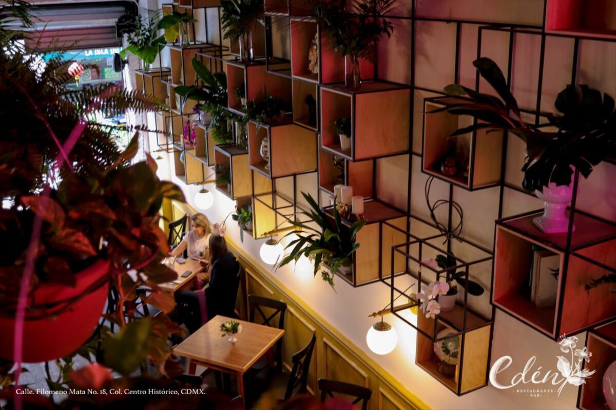 plantas Edén CDMX