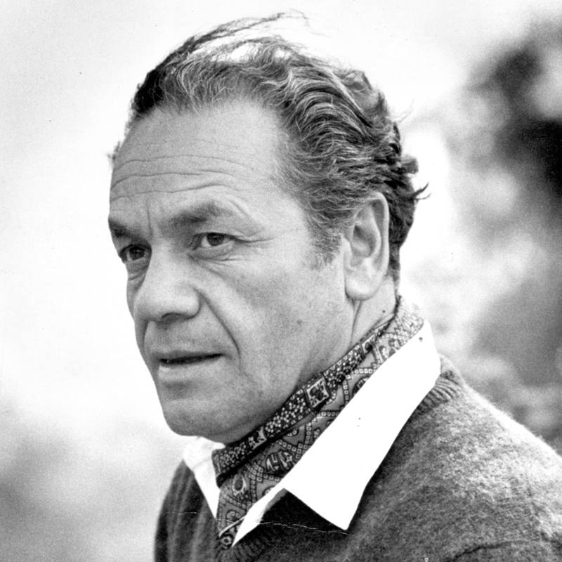 Nicanor Parra escritor