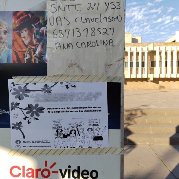 mutantes disidentes sinaloa aborto acompañamienti hombres trans