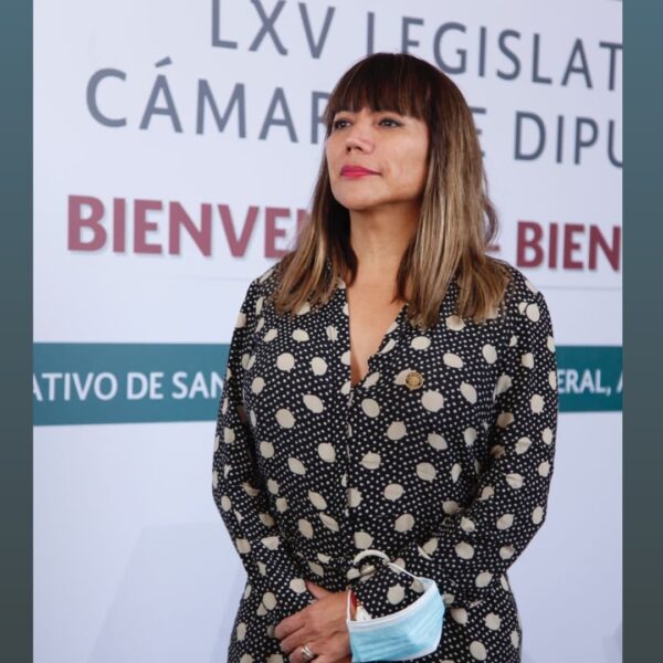 salma luevano luna lgbt diputadas política funcionarias LGBT 2021