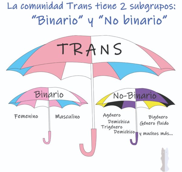 trans no binaria