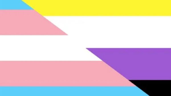 trans no binaria conformidad disforia de género