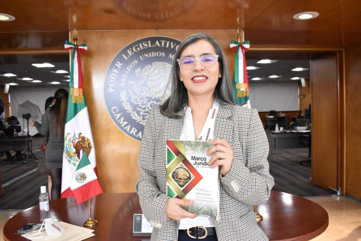 wendy briceño diputadas propuestas lgbt