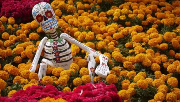 flor de cempasúchil historia sexualidad