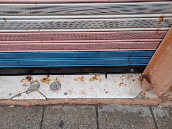 puerta bandera trans