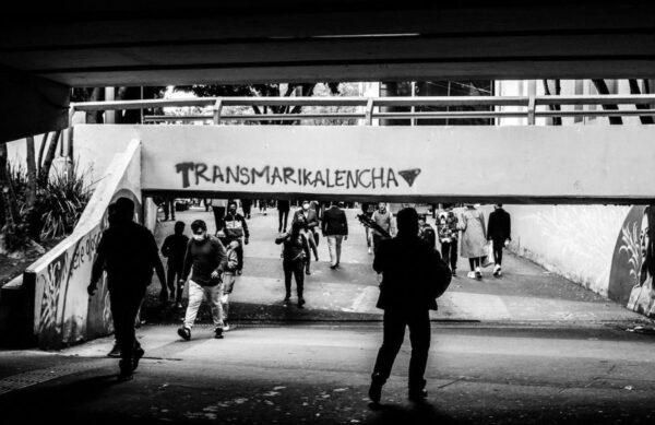 glorieta de los insurgentes eriko stark