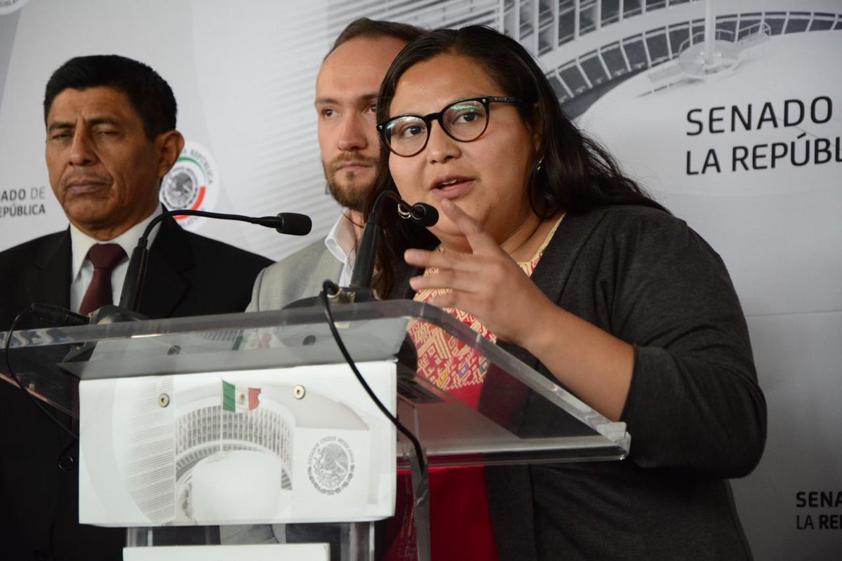 Iniciativa presentada en el Senado para prohibir Ecosig