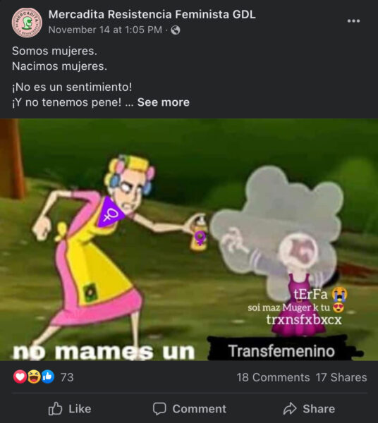 mercadita de la resistencia guadalajara