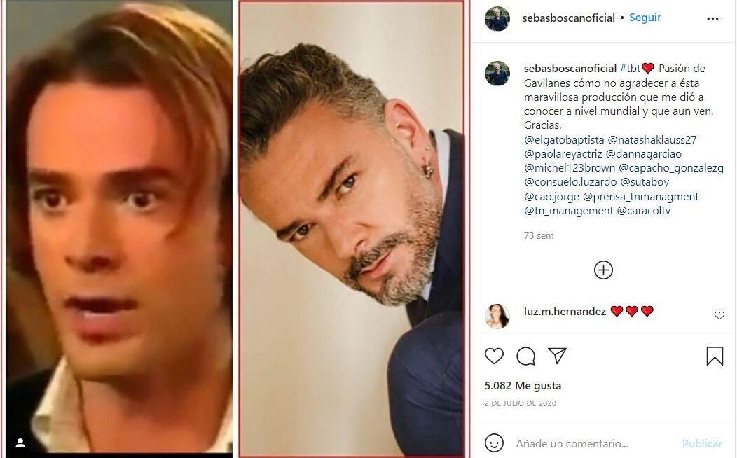 Sebastián Boscán, Leandro, personaje gay Pasión de Gavilanes