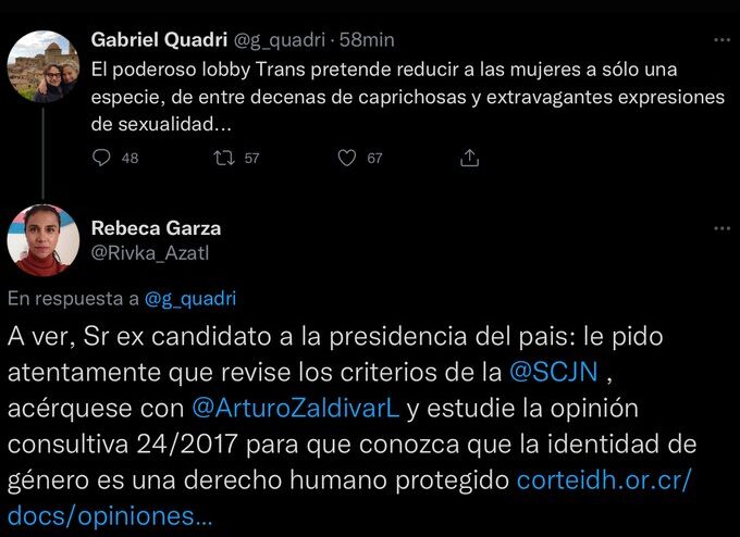 Gabriel Quadri se queja del lobby trans