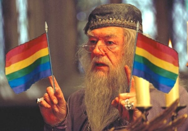 albus dumbledore lgbt harry potter