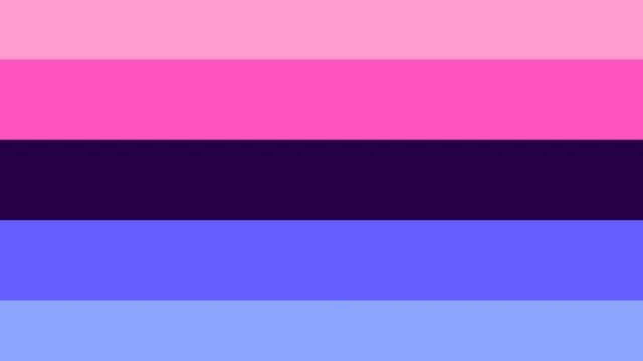 bandera omnisexual omnisexualidad rosa azul violeta oscuro negro significado