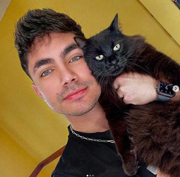 sian chiong fotos evolución gato año nuevo