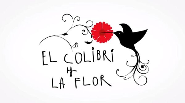 el colibrí y la flor corto