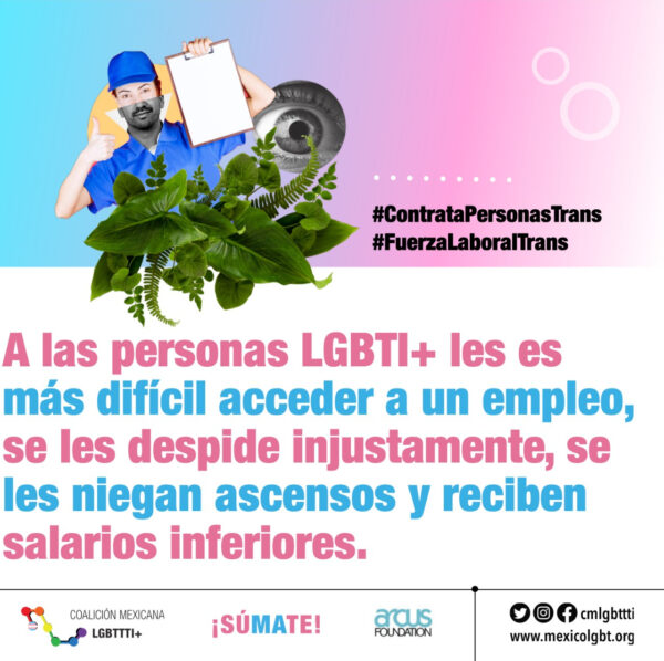 coalición mexicana lgbttti cupo laboral trans lgbt iniciativa