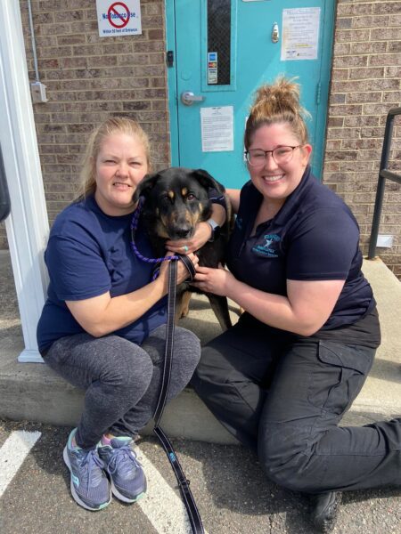 fezco oscar perro gay abandonado carolina del norte