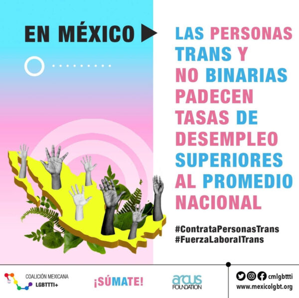 iniciativa ley cupo laboral trans méxico coalición mexicana LGBTTTI