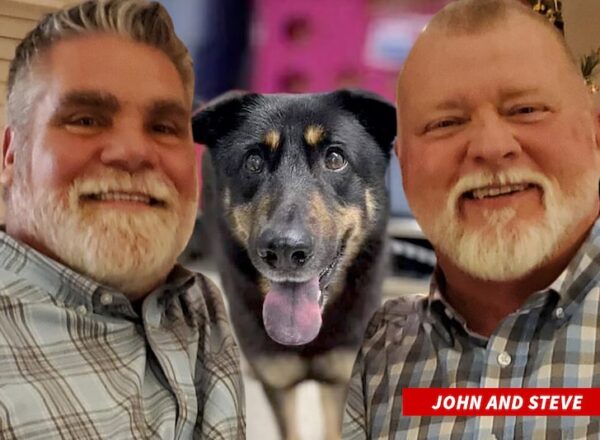 john steve fezco oscar perro gay abandonado adoptado carolina del norte