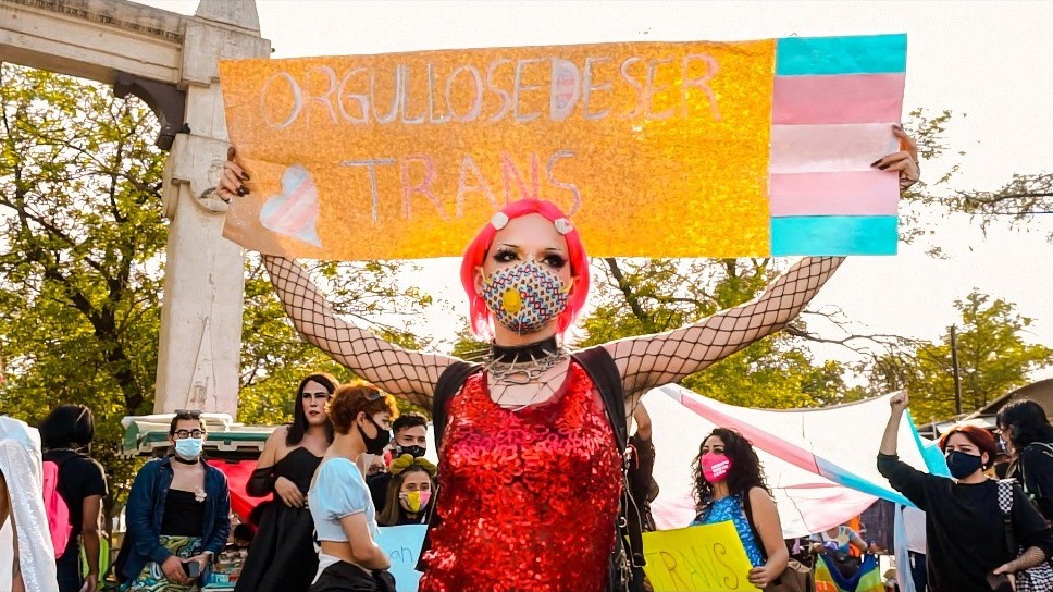 sobrevivir o votar edie galván